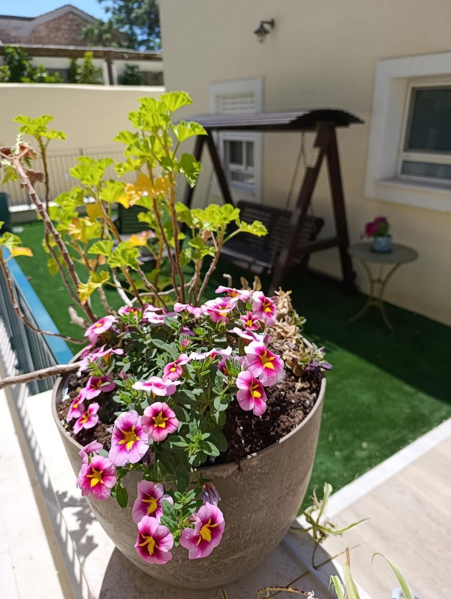 49 Boutique Villa Zikhron Ya'akov Kamer foto